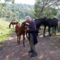 Натура сама вошла в кадр :: Аркадий Басович