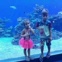 Фото на память! :: Светлана Хращевская