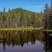 Аляска :: Aleksey Afonin