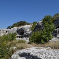 Природа Крыма :: Amazing Cosmea