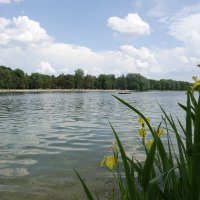 Я смотрел, как плывут облака весны уходящей - вдаль они уплыли… ...Кагава Кагэки.. :: Галина 