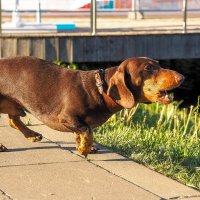 ***** :: юрий поляков ***** :: юрий поляков