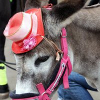 в ожидании :: Олег Лукьянов