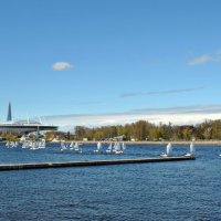 "Орлята учатся летать.." :: AleksSPb Лесниченко