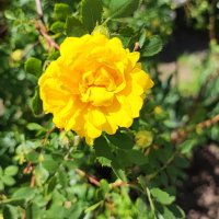 ,,, :: Сергей Тимоновский