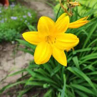 ,,, :: Сергей Тимоновский ,,, :: Сергей Тимоновский