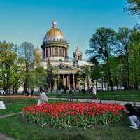 Питерская весна :: Татьяна Машошина