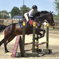 Грация и Красота! :: Александр Гриднев