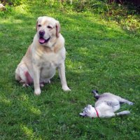 Когда в отношениях нет перспективы... :: Борис Бутцев