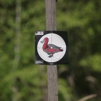 Утиная охота. :: Вячеслав. Синицын Утиная охота. :: Вячеслав. Синицын