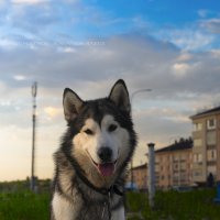 Ярик. :: leff Postnov