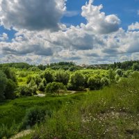 Погожий день :: Наталья Rosenwasser