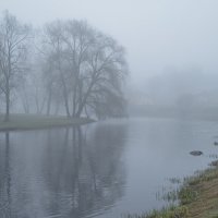 Туманное утро :: Виктор Желенговский