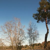 Токсово :: Наталья Герасимова