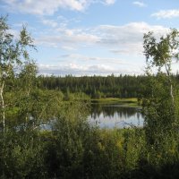 Лето :: Anna Ivanova Лето :: Anna Ivanova