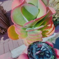 13  ОПЕН (87) :: OPEN WAYS ALL