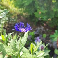 ,,, :: Сергей Тимоновский ,,, :: Сергей Тимоновский