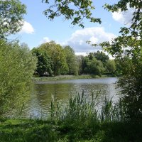 Майский пейзаж :: Рита Симонова Майский пейзаж :: Рита Симонова