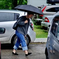 Про дождь в Краснодаре... :: Николай Саржанов