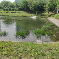 Варшавский пруд :: Игорь Ч.