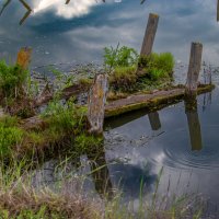 В Павловичах на озере :: Sergei Vikulov