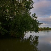 есть только миг :: Вячеслав Позывной