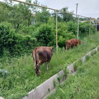 Talgar. :: Murat Bukaev Talgar. :: Murat Bukaev