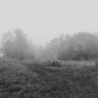 ----foggy---- :: AL Reborn 