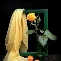 До свидания весна    здравствуй знойное желтое лето :: TAMARA КАДАНОВА