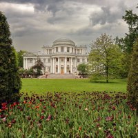 Елагин остров :: skijumper Иванов