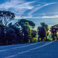 Вечер :: Наталья Rosenwasser