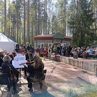 Играет оркестр :: Мария Васильева