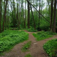 * * * :: Андрей Лукьянов