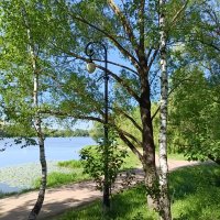 у пруда :: Галина R...