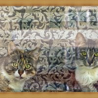 Семейный портрет :: Валерий Иванович