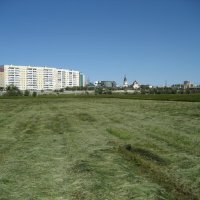 Покос :: Anna Ivanova