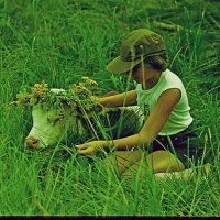 ДЕТИ. :: Виктор Осипчук