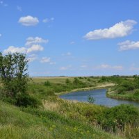 Местная река. :: Виктор 