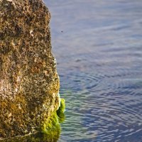 Камень :: Giant Tao /