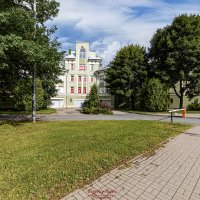 Прогулки по Крестовскому острову :: Евгений 