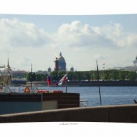 случайная птичка в праздничный полдень :: sv.kaschuk 