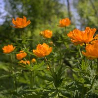 Огоньки :: Дмитрий Шемонаев