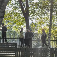 Пацаны везде пацаны. :: Игорь Николаев