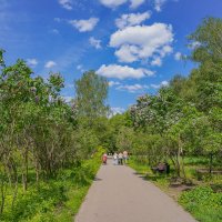 В конце мая... :: Владимир Жданов