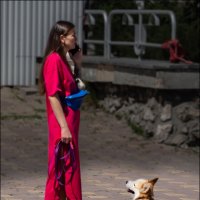 Пошли уже! :: Александр Тарноградский Пошли уже! :: Александр Тарноградский