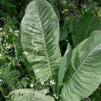 Talgar. :: Murat Bukaev 