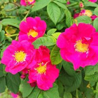 ,,, :: Сергей Тимоновский