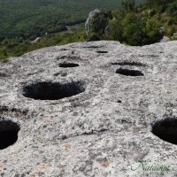 Природа Крыма :: Amazing Cosmea