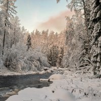 Линдуловская роща :: skijumper Иванов