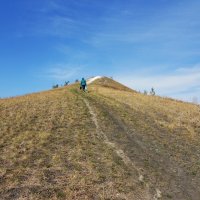 ............ :: Елена Шаламова